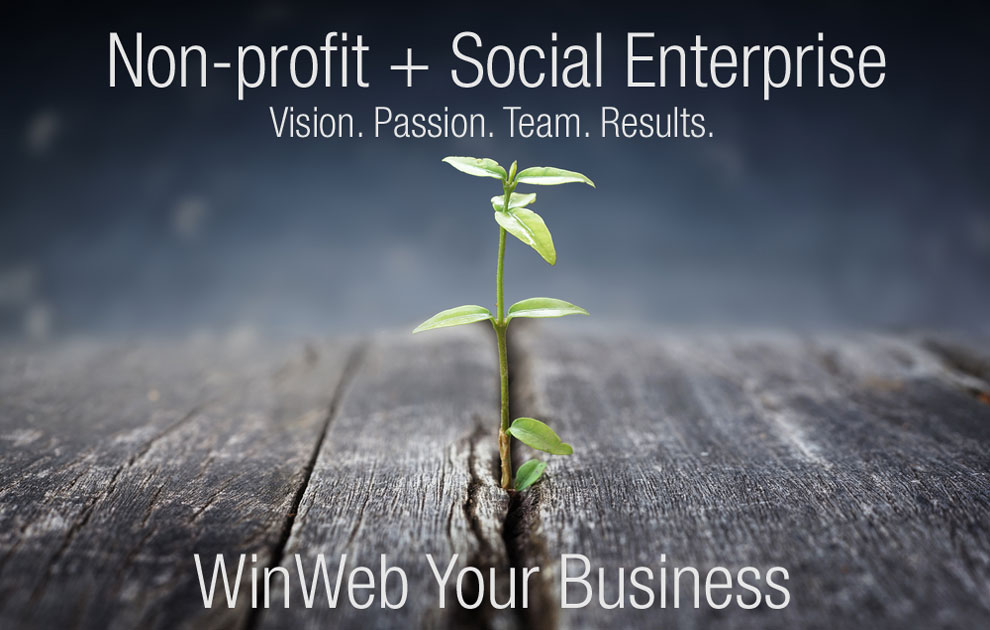 Non-profit + Social Enterprise